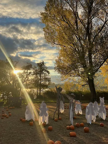 IL CAMPO DI ZUCCHE YOU-PICK A GALBIATE HALLOWEEN IN RIVA AL LAGO