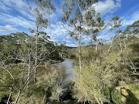 Saturday Nature Meditation Walk: Jumping Creek to Black Flat, Warrandyte VIC