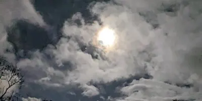 Dance in the Dark for the Full 'Hunters' Moon with Move in Nature