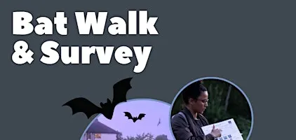 Bat Walk & Survey along the River Wandle