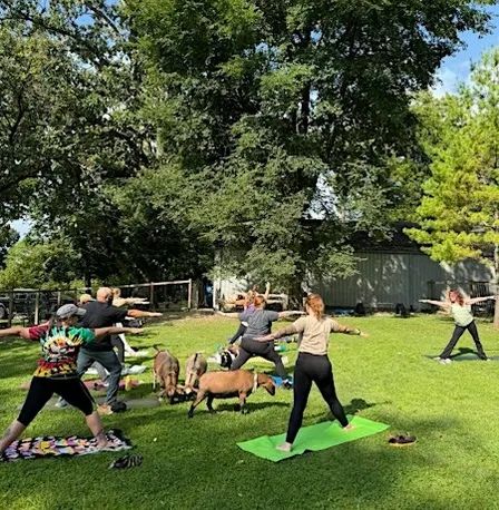 GOAT YOGA + COFFEE ON THE GREAT MIAMI