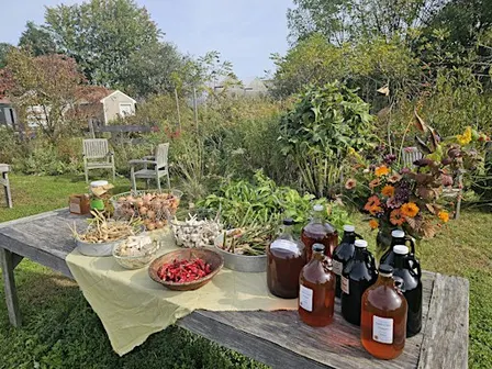 Fire Cider Workshop & Pop-Up Herb Pantry