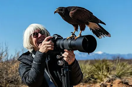 Wildlife Photography in Action