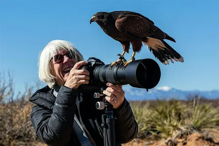 Wildlife Photography in Action