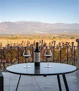 Piattelli Wine Tasting  @ Santé