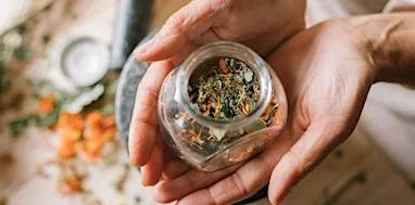 Special Winter Workshop: ELIXIRS - A Healthy Foundation for the New Year