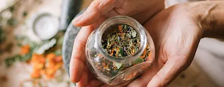 Special Winter Workshop: ELIXIRS - A Healthy Foundation for the New Year