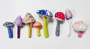 Mushroom Sewing Workshop