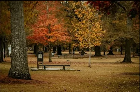 Columbus Georgia Uptown Mystery Quest