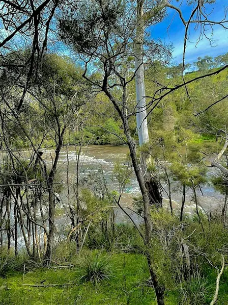 Saturday Nature Meditation Walk: Jumping Creek to Black Flat, Warrandyte VIC