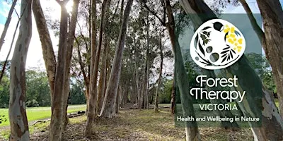 Forest Therapy Experience: Warrien Reserve, Croydon North (MG)