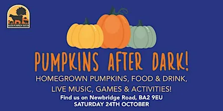 Pumpkins After Dark