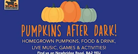 Pumpkins After Dark