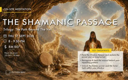 The Shamanic Passage (Trilogy 2) - The Path Beyond the Veil