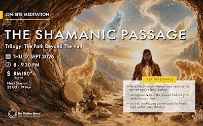 The Shamanic Passage (Trilogy 2) - The Path Beyond the Veil
