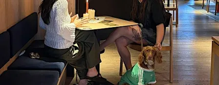 Collage Your Own Tarot Card  (Includes a 1-1 Tarot Reading)