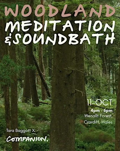 Woodland Nature Meditation & Soundbath