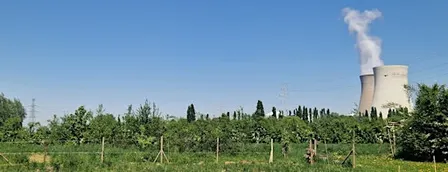 Gemeenschapstuin & Voedselbos Doel