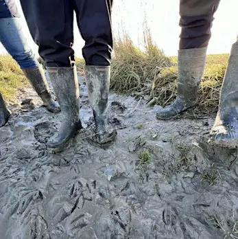 Grenslandschappen in Transitie