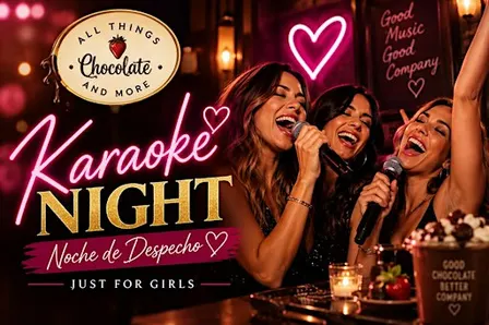 Karaoke Night - Noche de Despecho