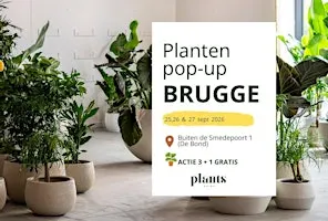PLANTS Market Pop-up BRUGGE