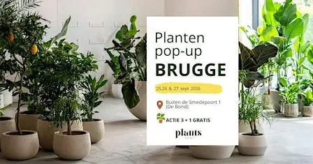 PLANTS Market Pop-up BRUGGE