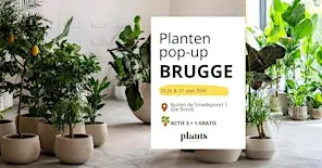 PLANTS Market Pop-up BRUGGE