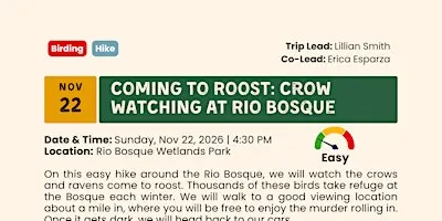 Coming to Roost: Crow Watching at Rio Bosque