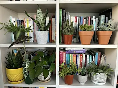 Plant Bingo