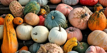 Halloween Festival and Chili Cookoff