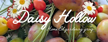 Daisy Hollow Home Ed Gardening Group - Bird Feeders