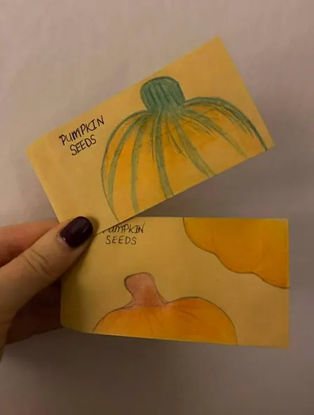 Seed Saving & Botanical Art Workshop