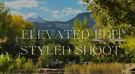 The Elevated Edit Styled Shoot