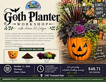 Goth Planter Workshop with Anna McIntyre