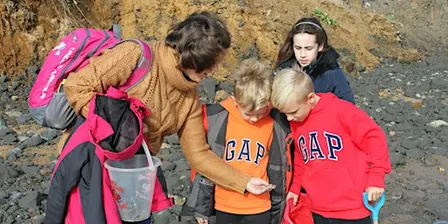 Naze Fossil Discovery, Wilder Families Club