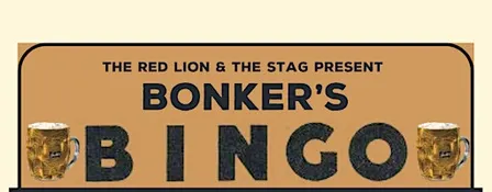 Festive Bonkers Bingo at The Stag