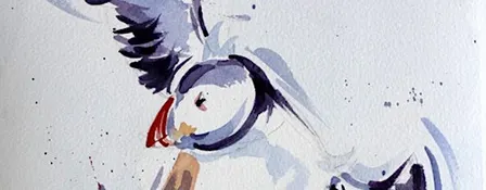 Arts Workshop - A Splash of Colour with Kevin Scully