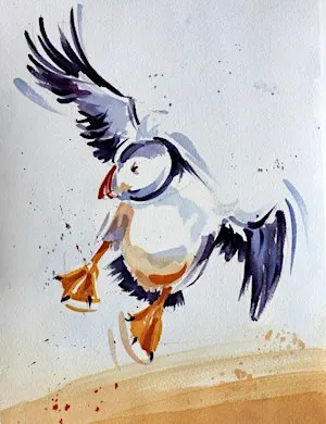Arts Workshop - A Splash of Colour with Kevin Scully