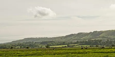 Members only event: Guided Walk around Amberley Wildbrooks