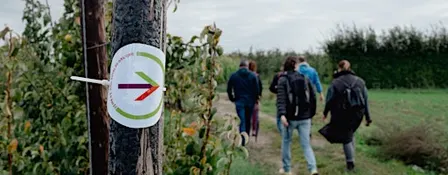 Passing on the Landscape & Trage Wegen