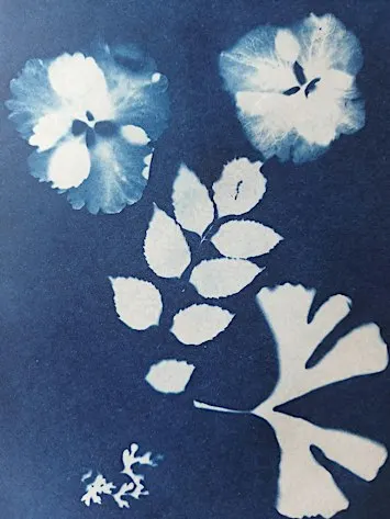 CYANOTYPE PRINT WORKSHOP