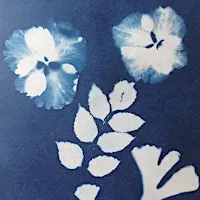 CYANOTYPE PRINT WORKSHOP