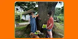 Tree Treasure Trail