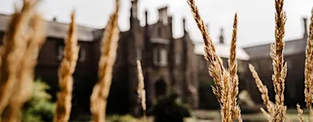 YEFest 2026 - What happens when the food system breaks down?