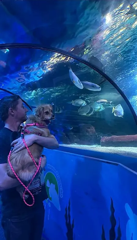 Dog Friendly Evening SEA LIFE Scarborough