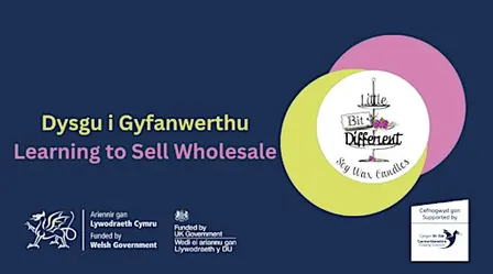 Dysgu i Gyfanwerthu |  Learning to Sell Wholesale