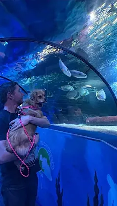 Dog Friendly Evening SEA LIFE Scarborough
