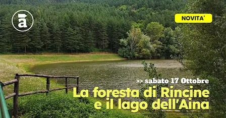 La foresta di Rincine e il Lago dell'Aina
