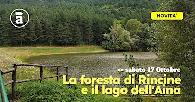 La foresta di Rincine e il Lago dell'Aina
