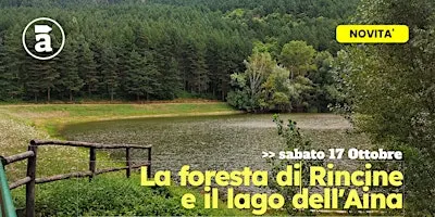 La foresta di Rincine e il Lago dell'Aina